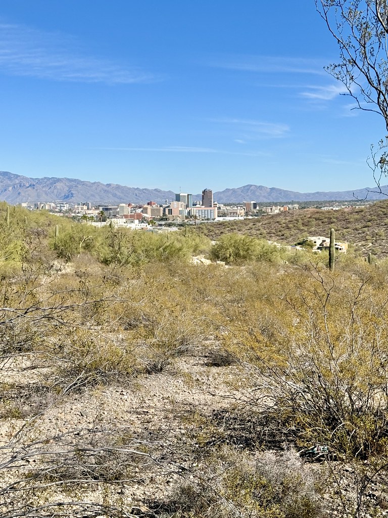 Tucson Parks Attract Early Risers for Summer Sunrise Yoga Sessions