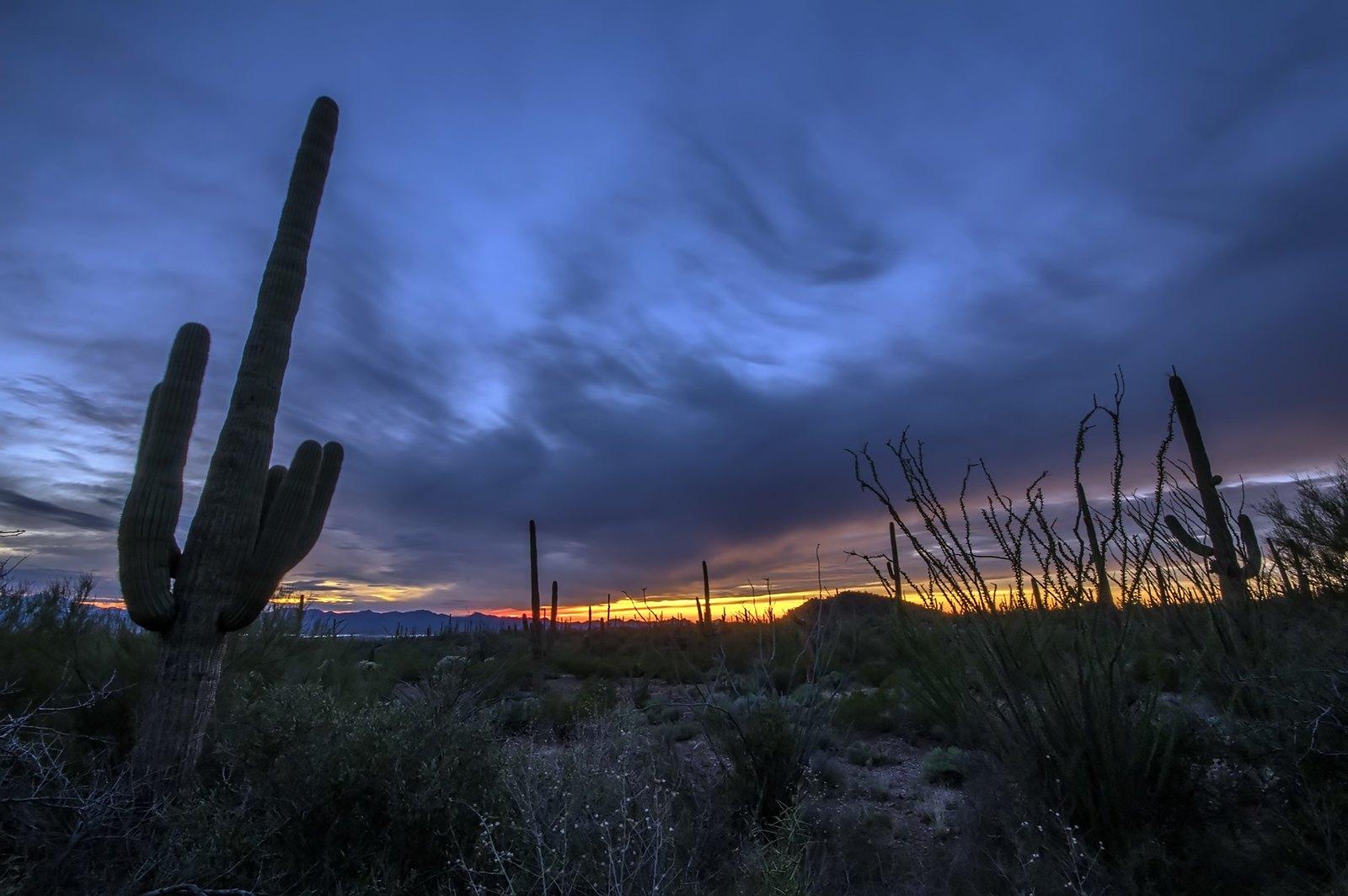 Tucson Residents Try Meditation Classes and Apps to Reduce Stress