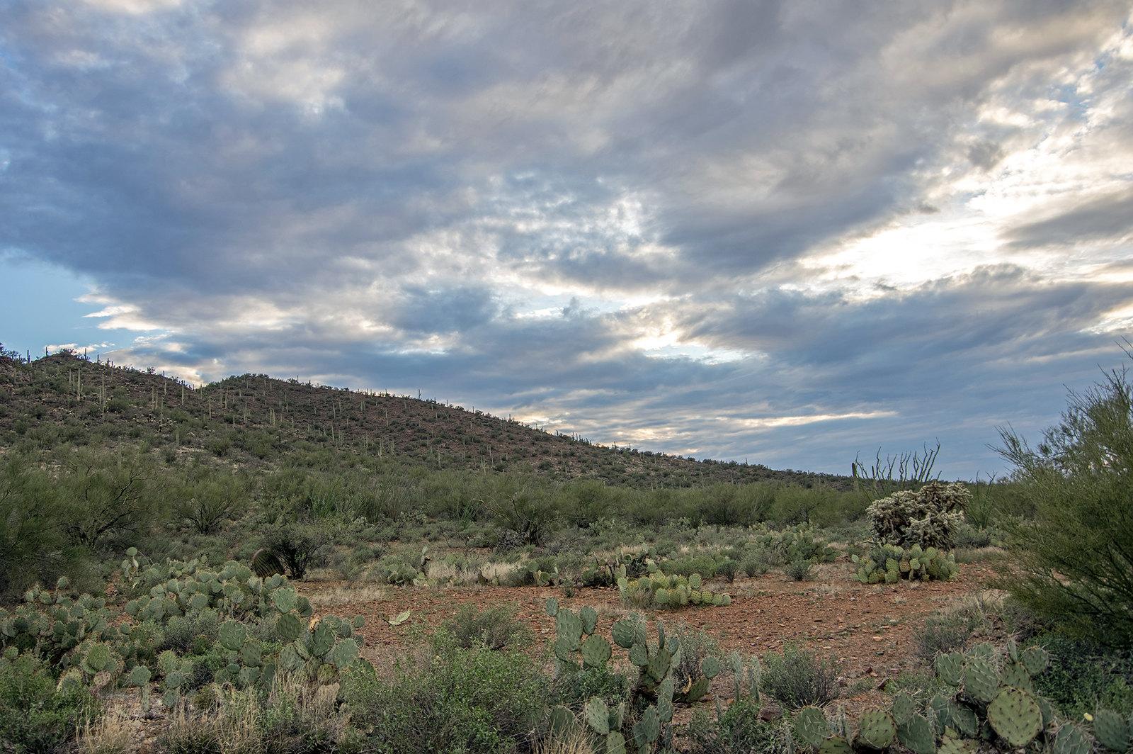 Tucson Locals Reveal 5 Secret Nature Walks Tourists Never Find